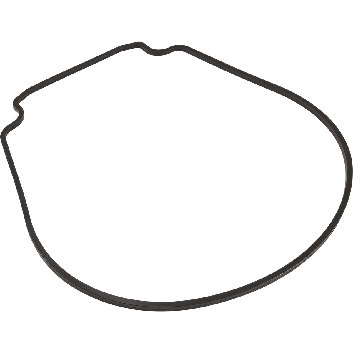 Gasket, Waterco HydroStar, Seal Plate : 634070