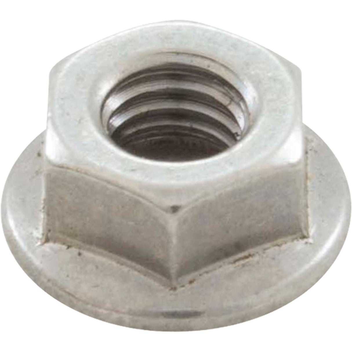 Nut, Speck 95 All Models, Motor Mouting Plate Bolt, M6 Serrated : 2921192015 - Speck Pumps - 2921192015 - PartsForSpas.com