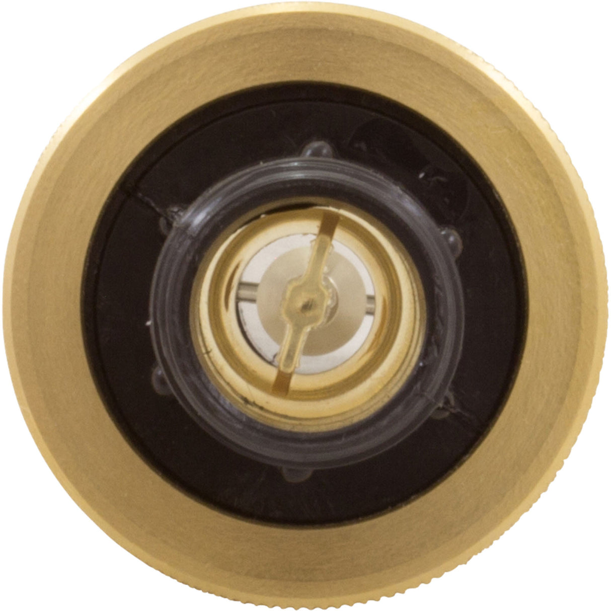 Flow Meter, Pentair, 2-16 gpm, 3/4" Nylon Thd End, Small Body : LDF359N - Pentair - 788379505882 - PartsForSpas.com