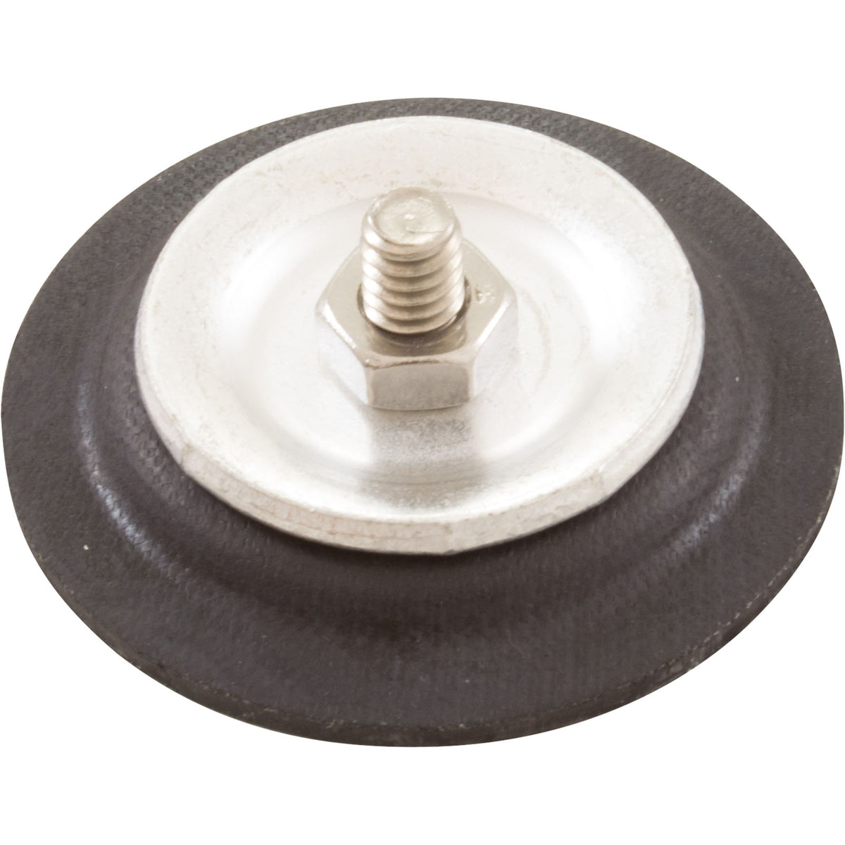 Diaphragm, Blue-White A-600 Chemical Pump, EP/PTFE : C-406T