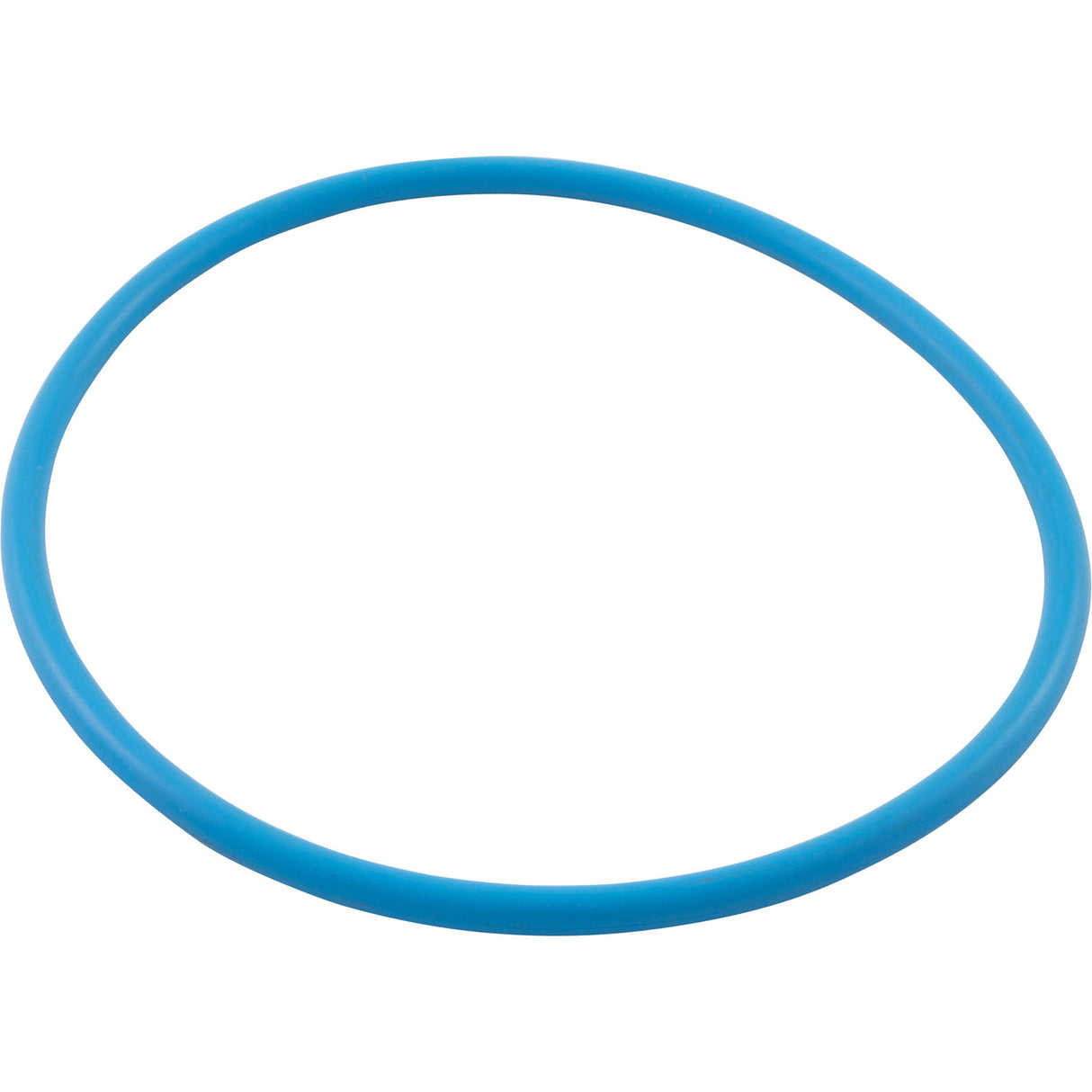 O-Ring, Waterco Chlorinator, Lid, Viton : WC64100