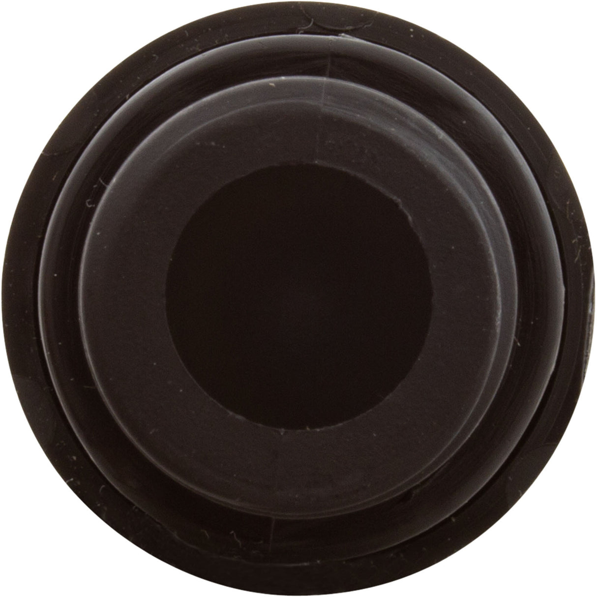 Check Valve, Aquastar ChemStar CH100 : CH1010 - AquaStar - 883612078427 - PartsForSpas.com