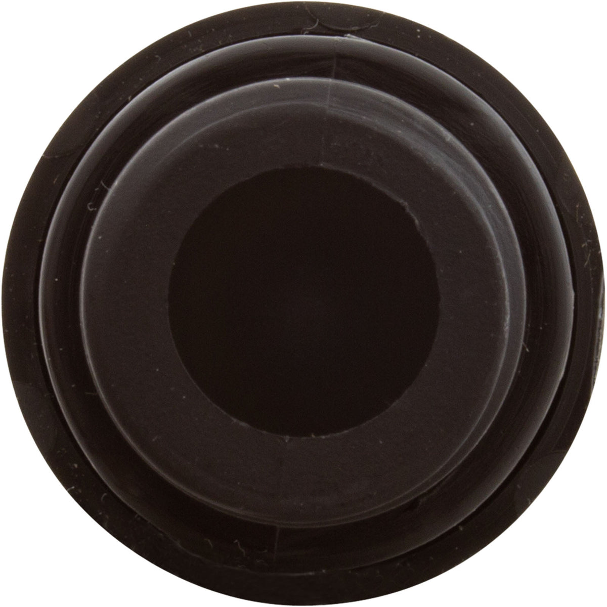 Check Valve, Aquastar ChemStar CH100 : CH1010