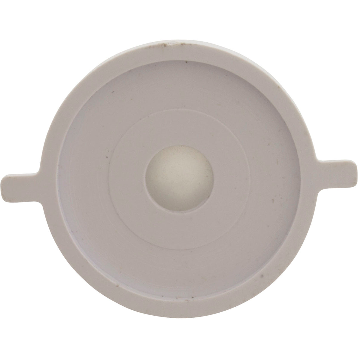 Check Valve Assembly, CMP PowerClean Mini Chlorinator : 25280-000-920