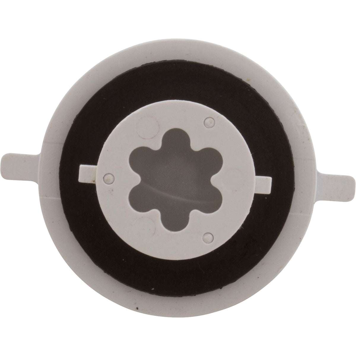 Check Valve Assembly, CMP PowerClean Mini Chlorinator : 25280-000-920