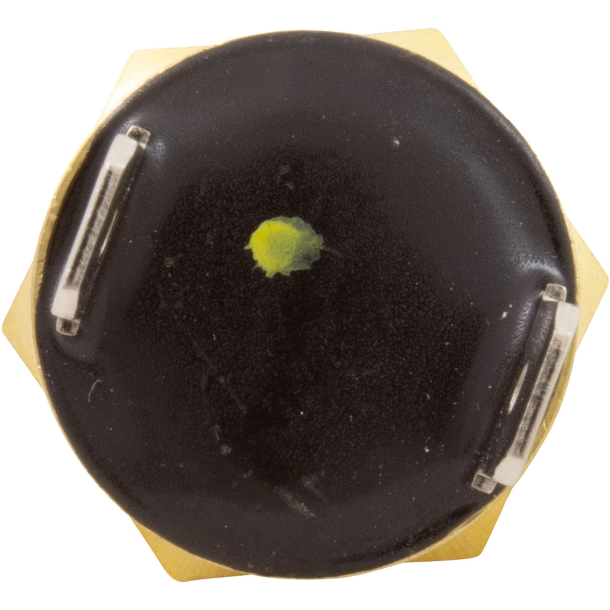 Gas Shutoff Switch, Pentair Max-E-Therm/MasterTemp : 42002-0025S - StaRite/Pentair - 022315301610 - PartsForSpas.com