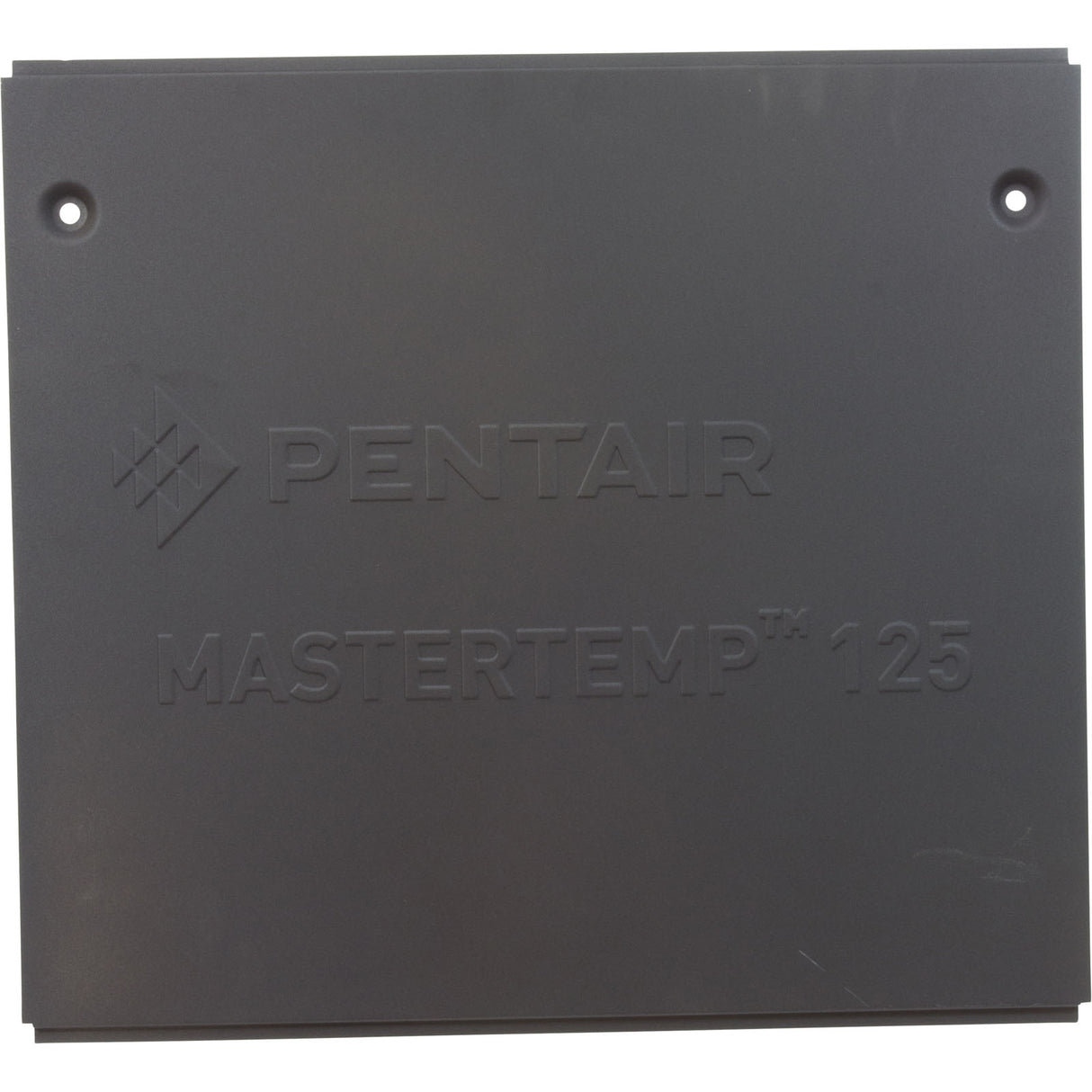 Side Panel, Pentair MasterTemp 125, Service Panel : 474991 - StaRite/Pentair - 788379864484 - PartsForSpas.com