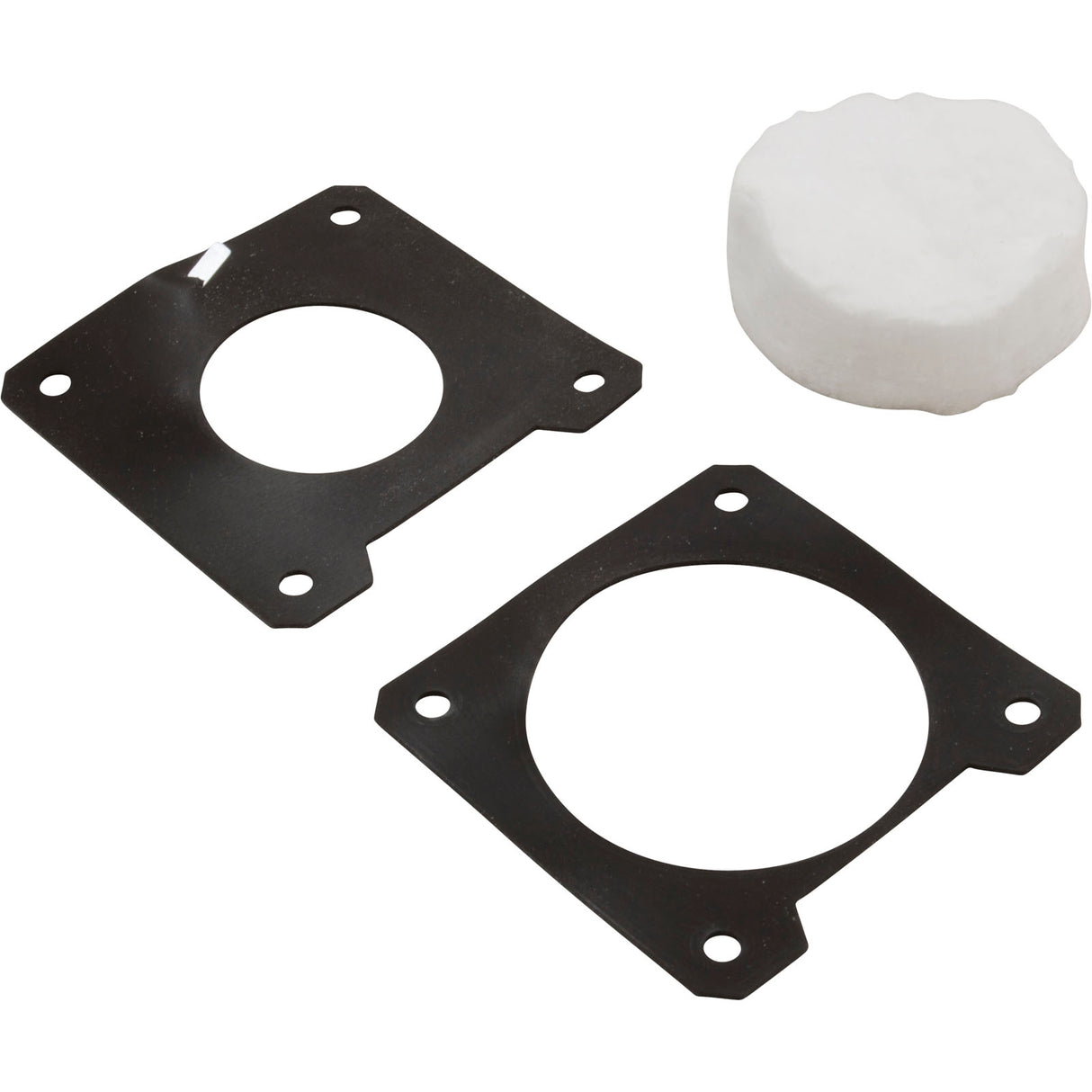 Flameholder Kit, Pentair MasterTemp 250 : 460746 - StaRite/Pentair - 788379726690 - PartsForSpas.com