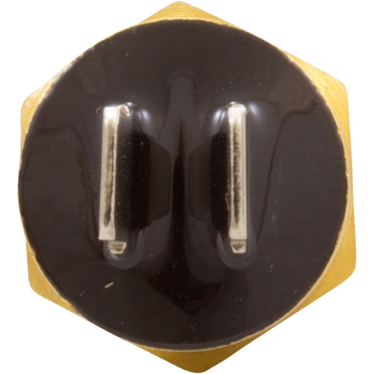 Hi Limit Switch, Pentair MasterTemp 125 : 474367Z