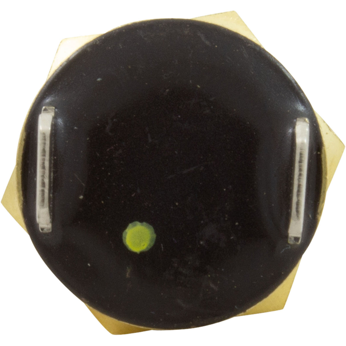 Automatic Gas Shutoff Switch, Pentair MasterTemp 125 : 474368Z - Pentair - 788379865276 - PartsForSpas.com
