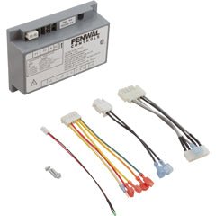 Ignition Control, Pentair MasterTemp, w/Flame Sense : 476223Z - Pentair - 788379917579 - PartsForSpas.com
