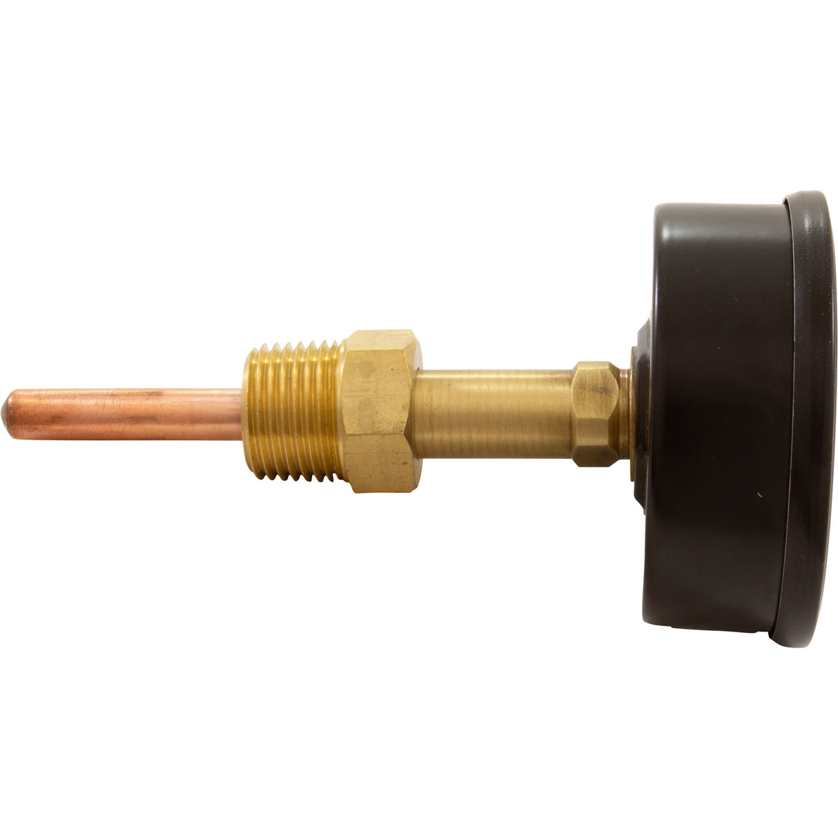 Temperature & Pressure Gauge Kit, Raypak Hydronic Heaters : 007399F - Raypak - 840891006947 - PartsForSpas.com