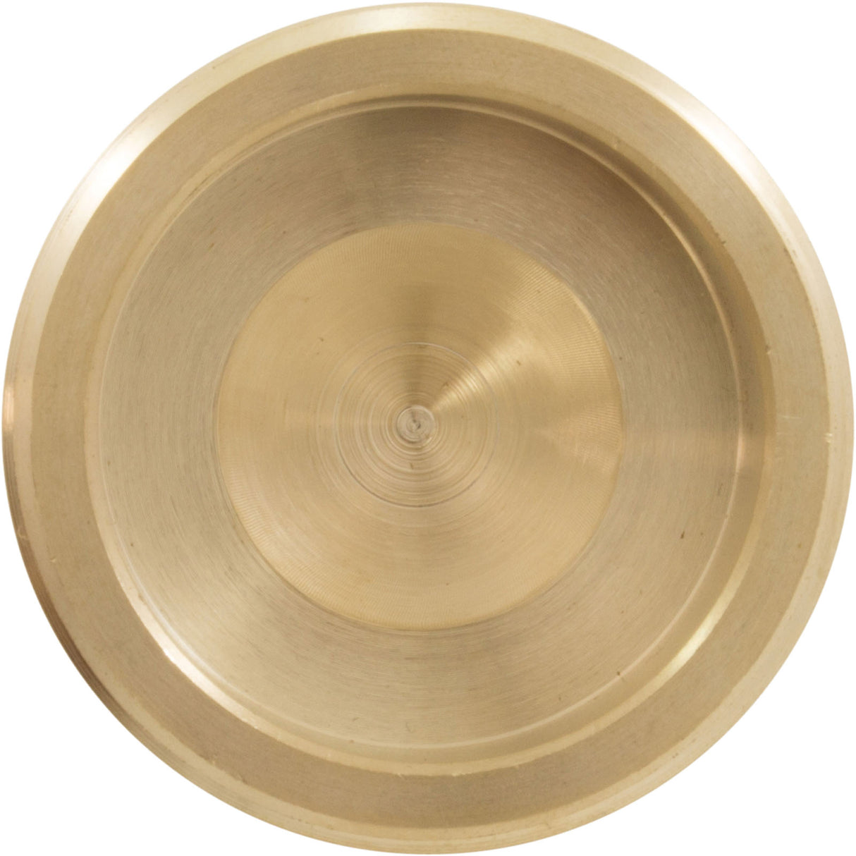 Unitherm Governor Plug, Raypak 206A/266A/336A/406A : 013738F - Raypak - 840891030607 - PartsForSpas.com