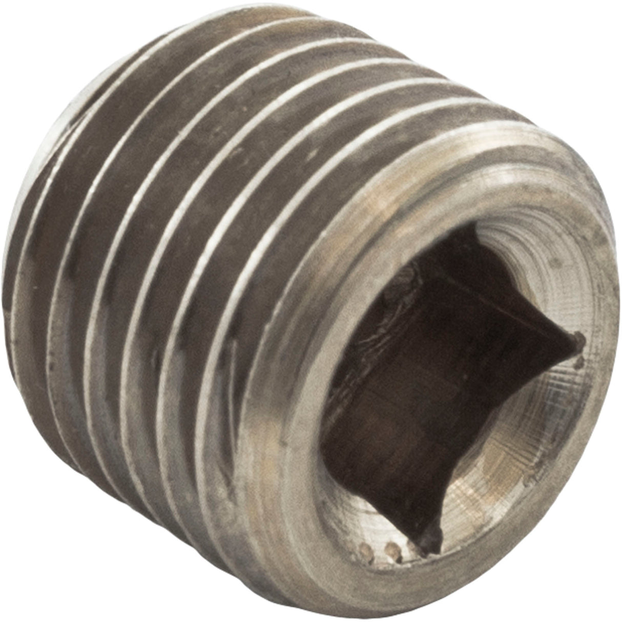 Header Plug, Raypak, 55B : 501329 - Raypak - 501329 - PartsForSpas.com