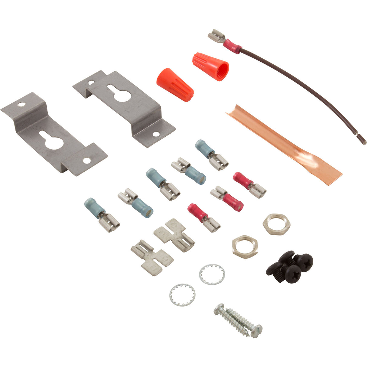 Thermostat Kit, Raypak 55A/185A, IID, 10A : 005390F - Raypak - 840891004486 - PartsForSpas.com