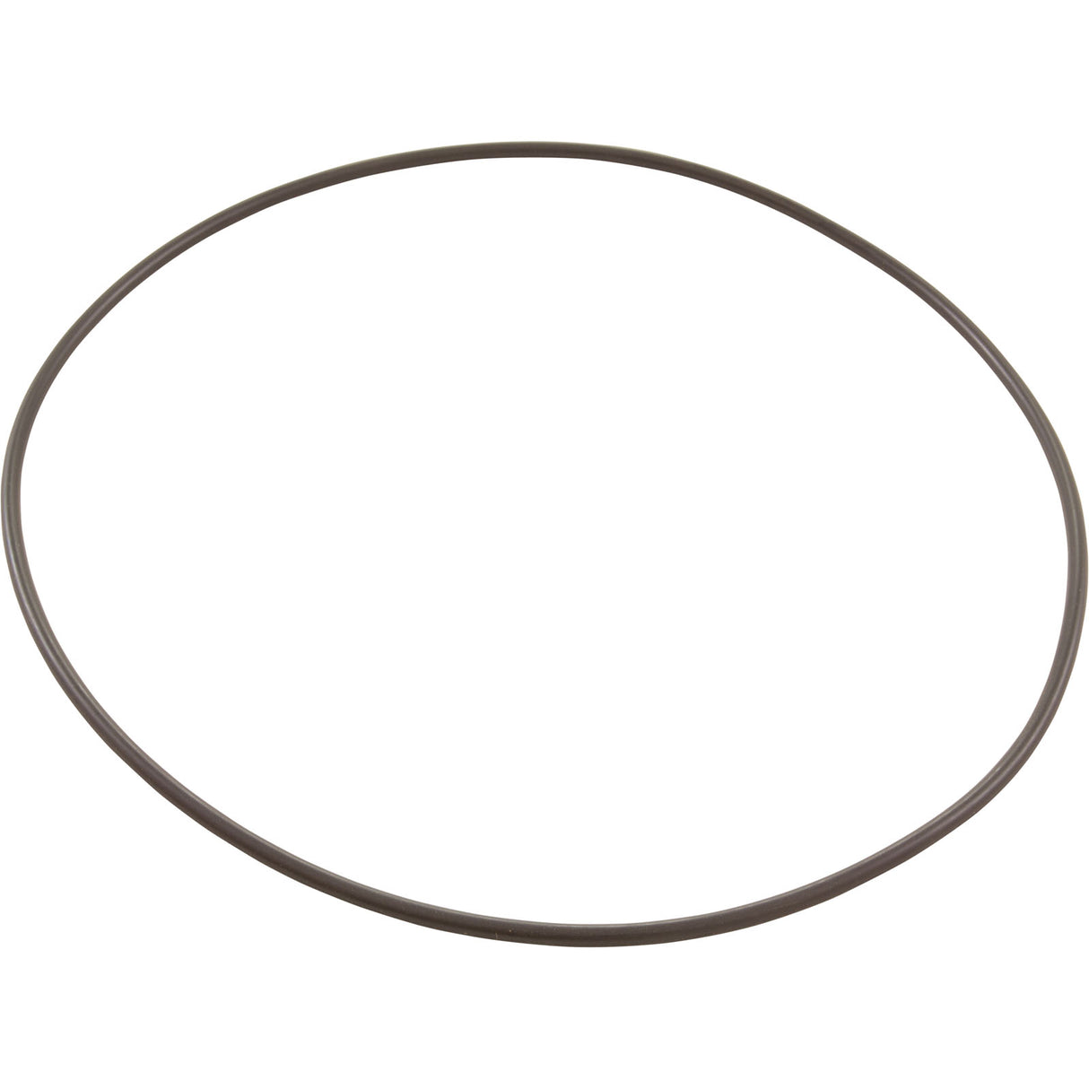 O-Ring, Pentair PacFab Bermuda, Body Float Valve : 516244