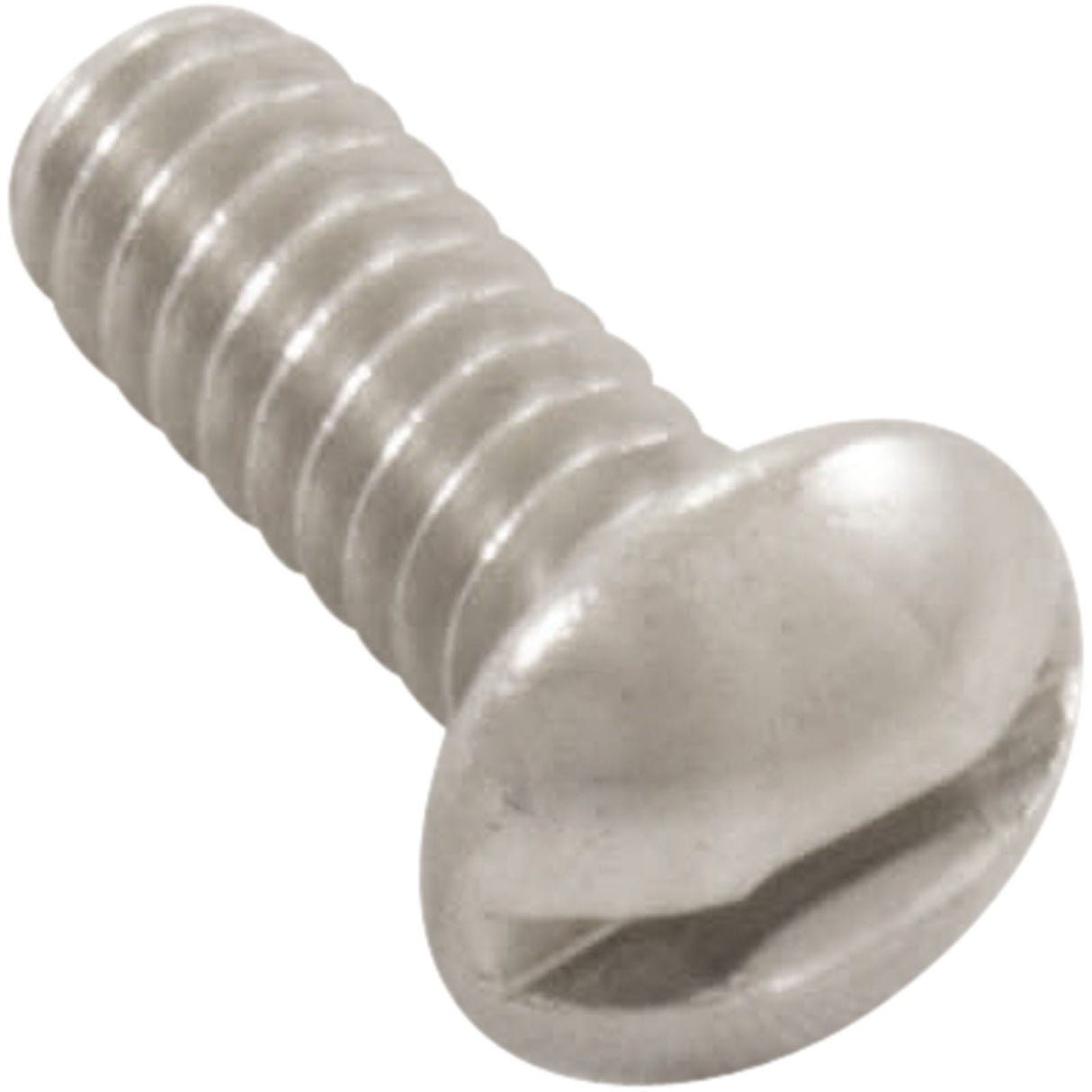 Screw, Pentair, 10-24 x 1/2" Stainless Steel : 98204400