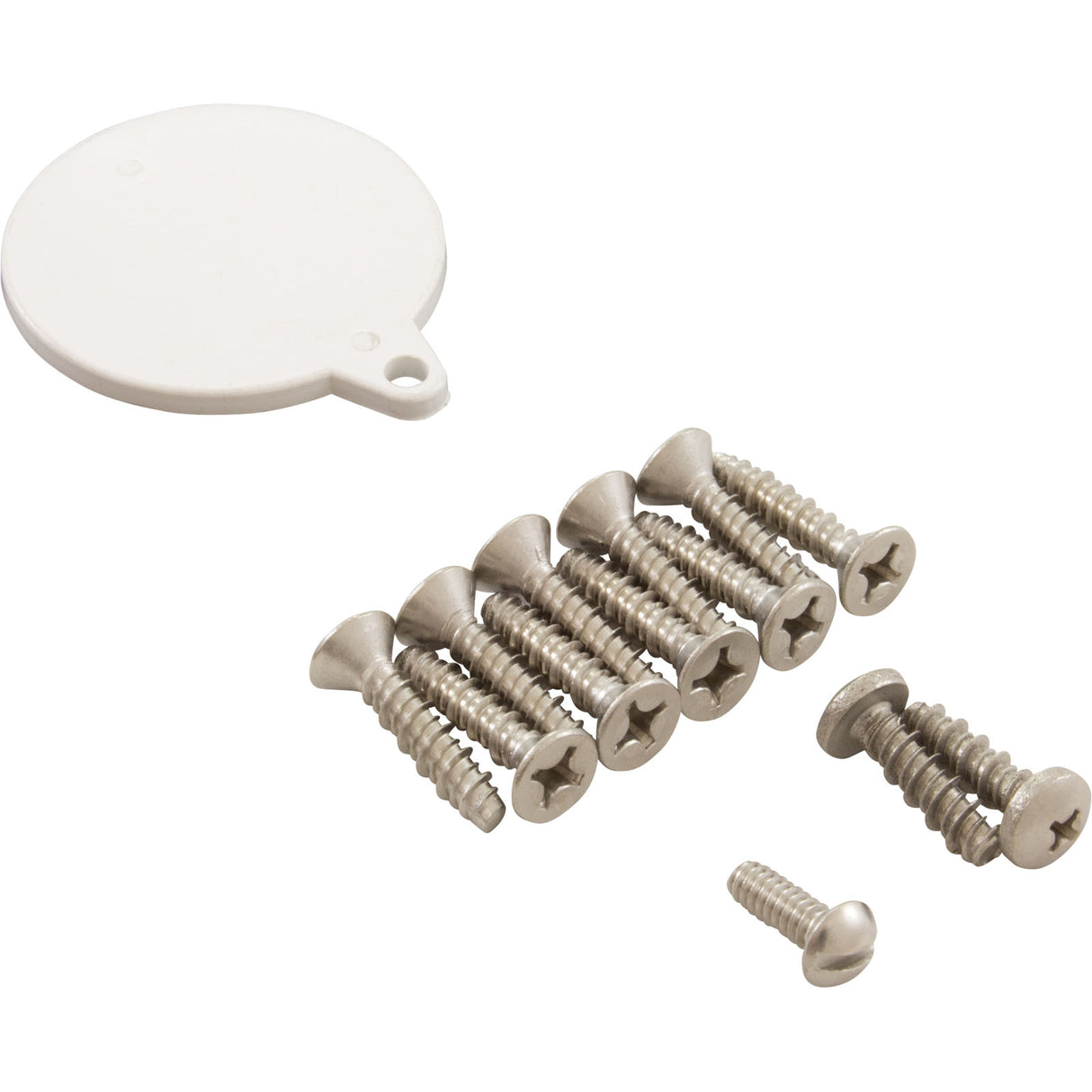 Skimmer Screw Kit, Pentair/American Products FAS : 85009700 - American Products/Pentair - 788379625887 - PartsForSpas.com