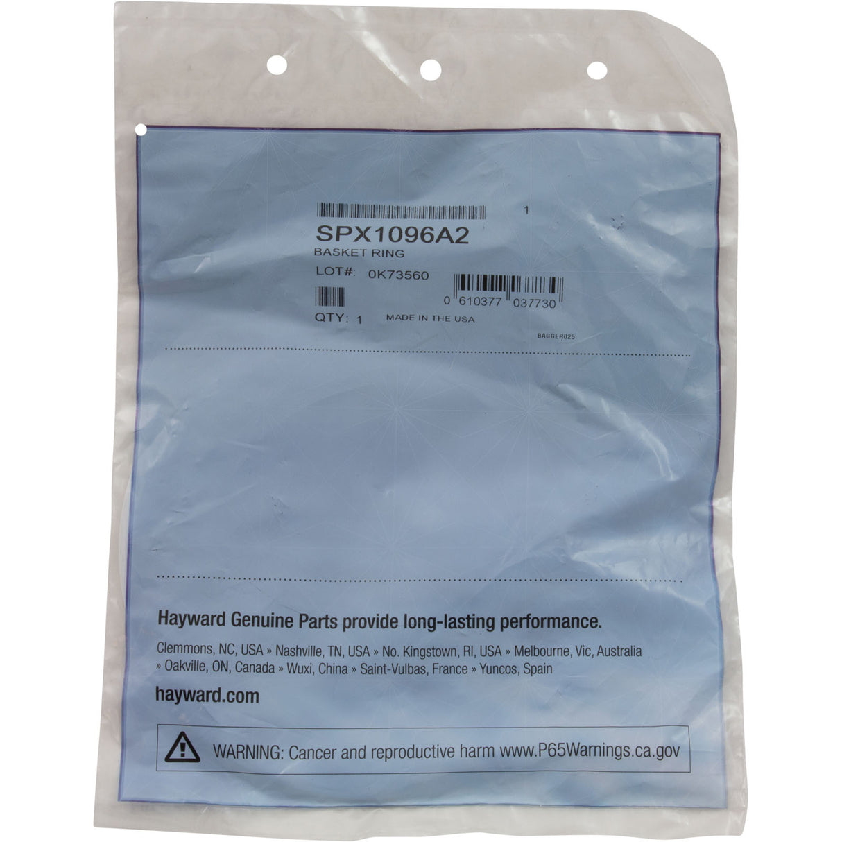 Basket Ring, Hayward SP1090/1092/1096/1097/1098 Skimmer : SPX1096A2 - Hayward - 0610377037730 - PartsForSpas.com
