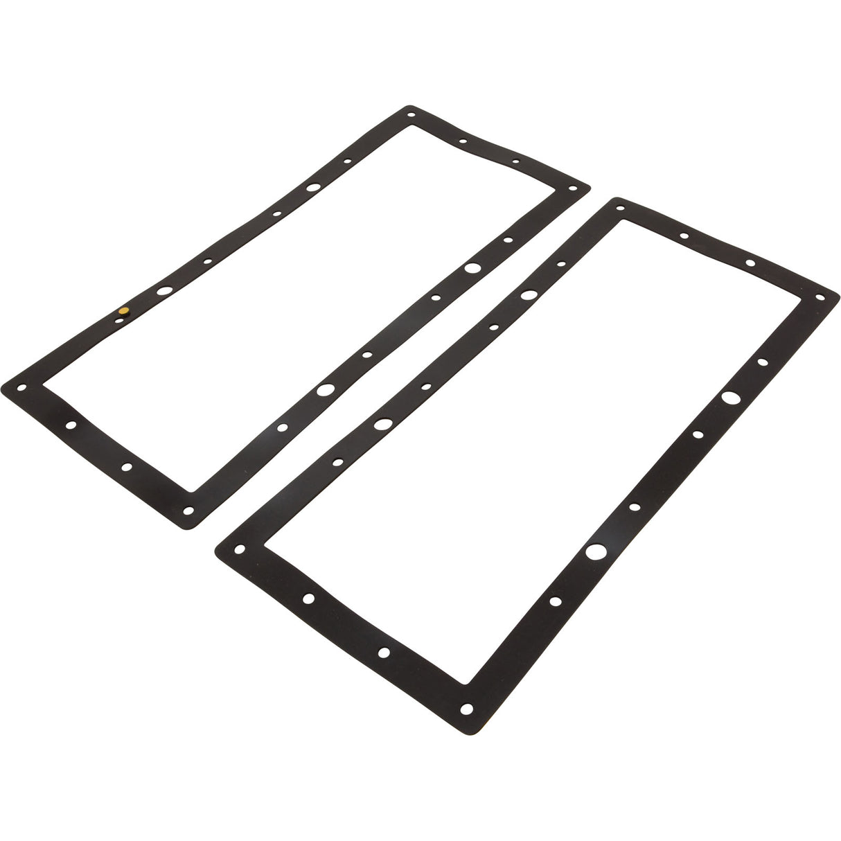 Gasket, Astral, In-Ground Skimmer : 4402011711
