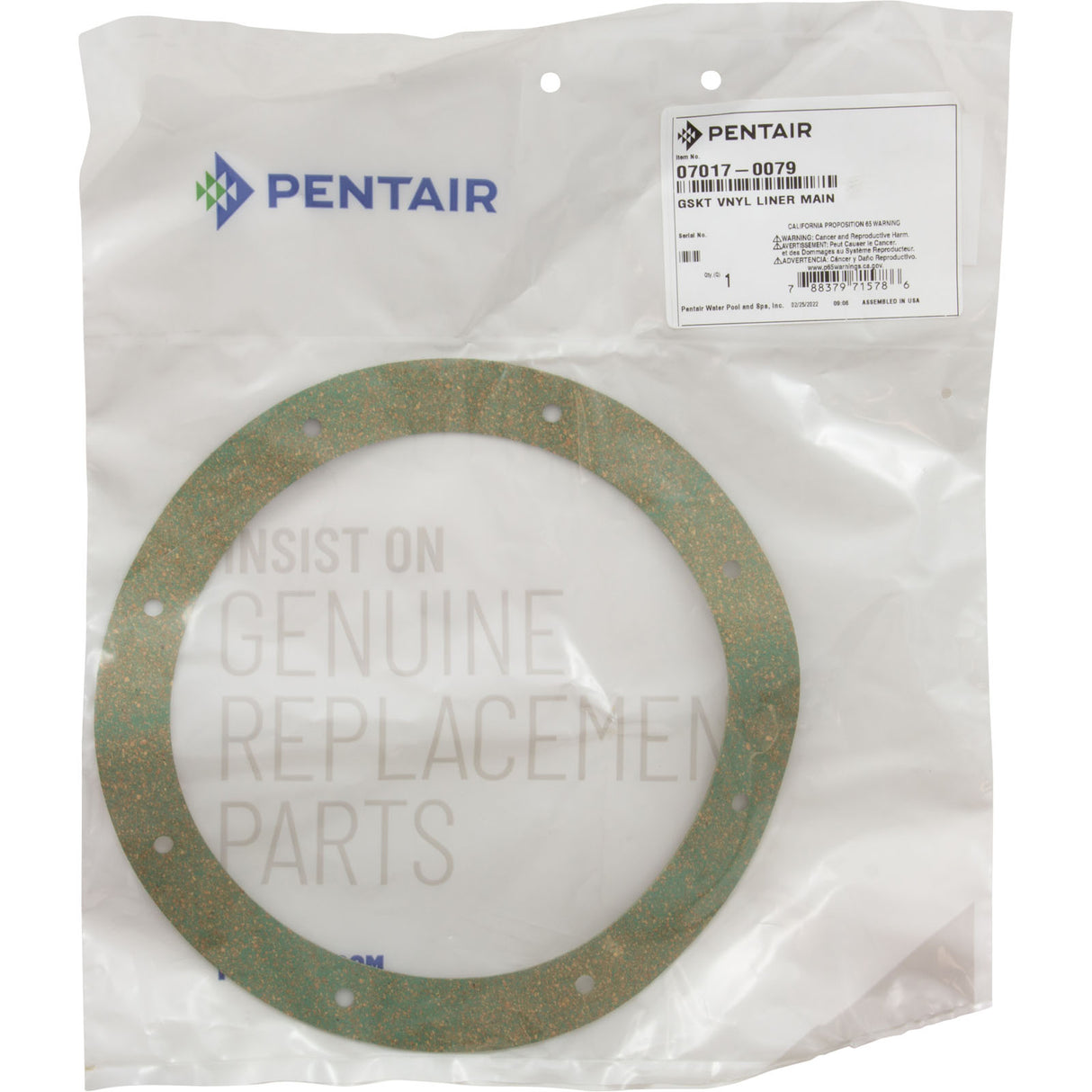 Gasket, Pentair Sta-Rite Vinyl/StarGuard Main Drain, Body : 07017-0079