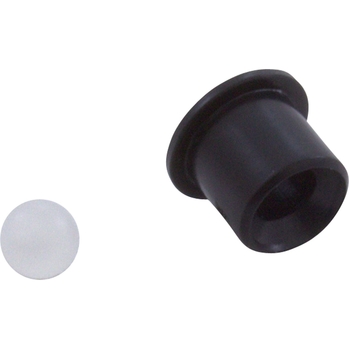 Check Valve Assembly, Waterway Poly Jet, Barb Air : 600-1100