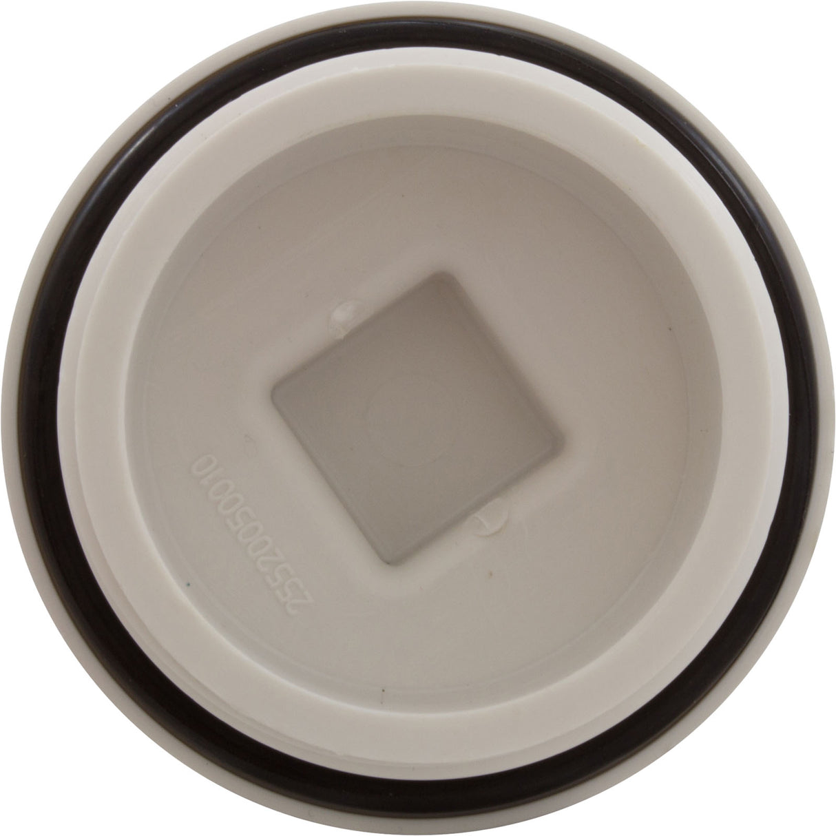 Plug, Main Drain, 2", Gunite : 25525-000-000