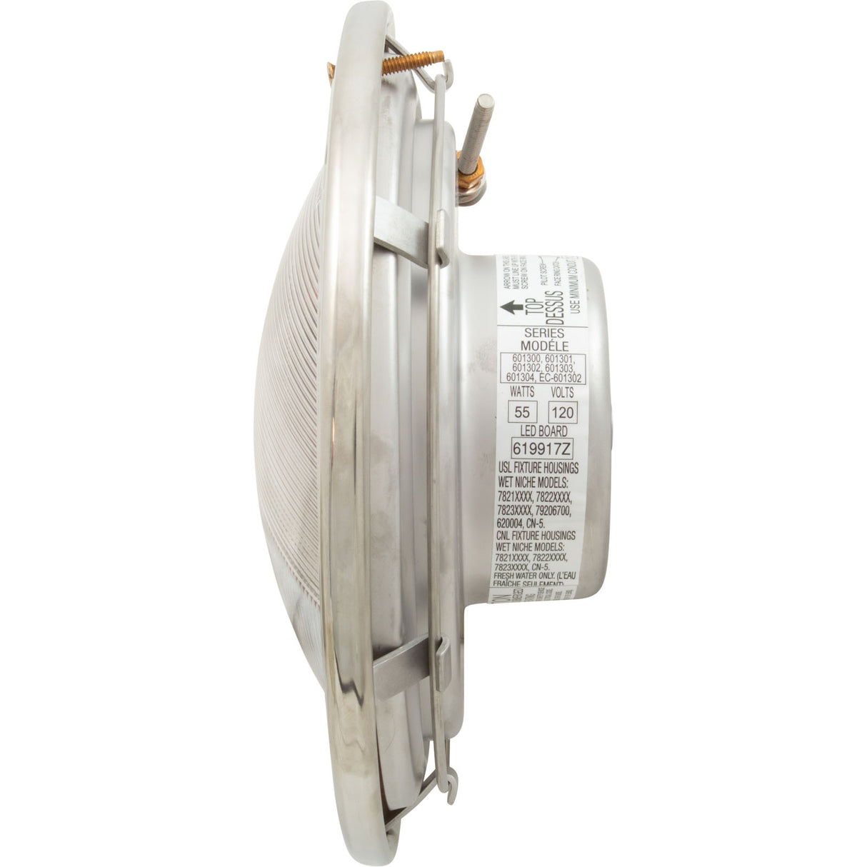 Pool Light, Pentair IntelliBrite 5g White, 115v, 55W, 30ft : 601300