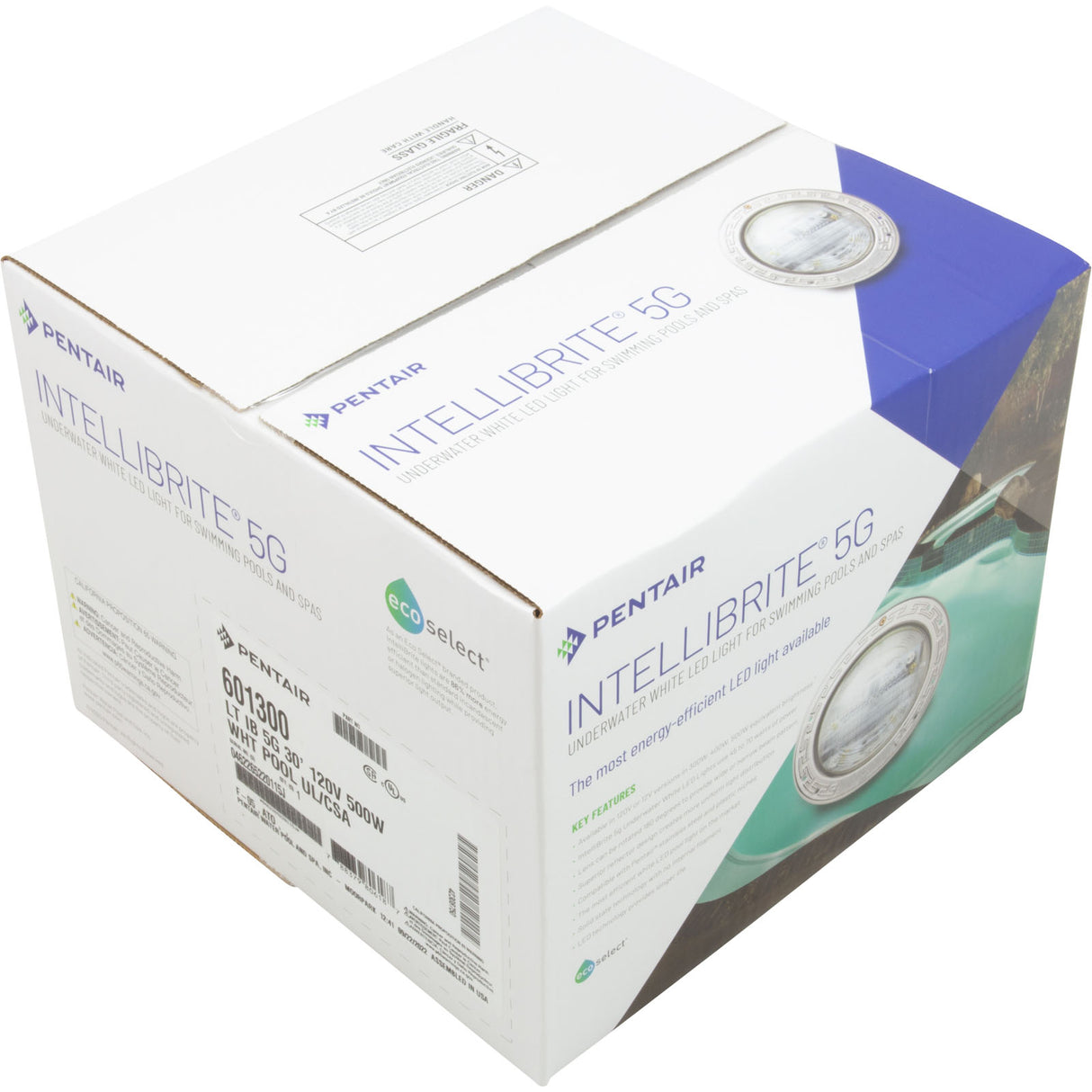 Pool Light, Pentair IntelliBrite 5g White, 115v, 55W, 30ft : 601300