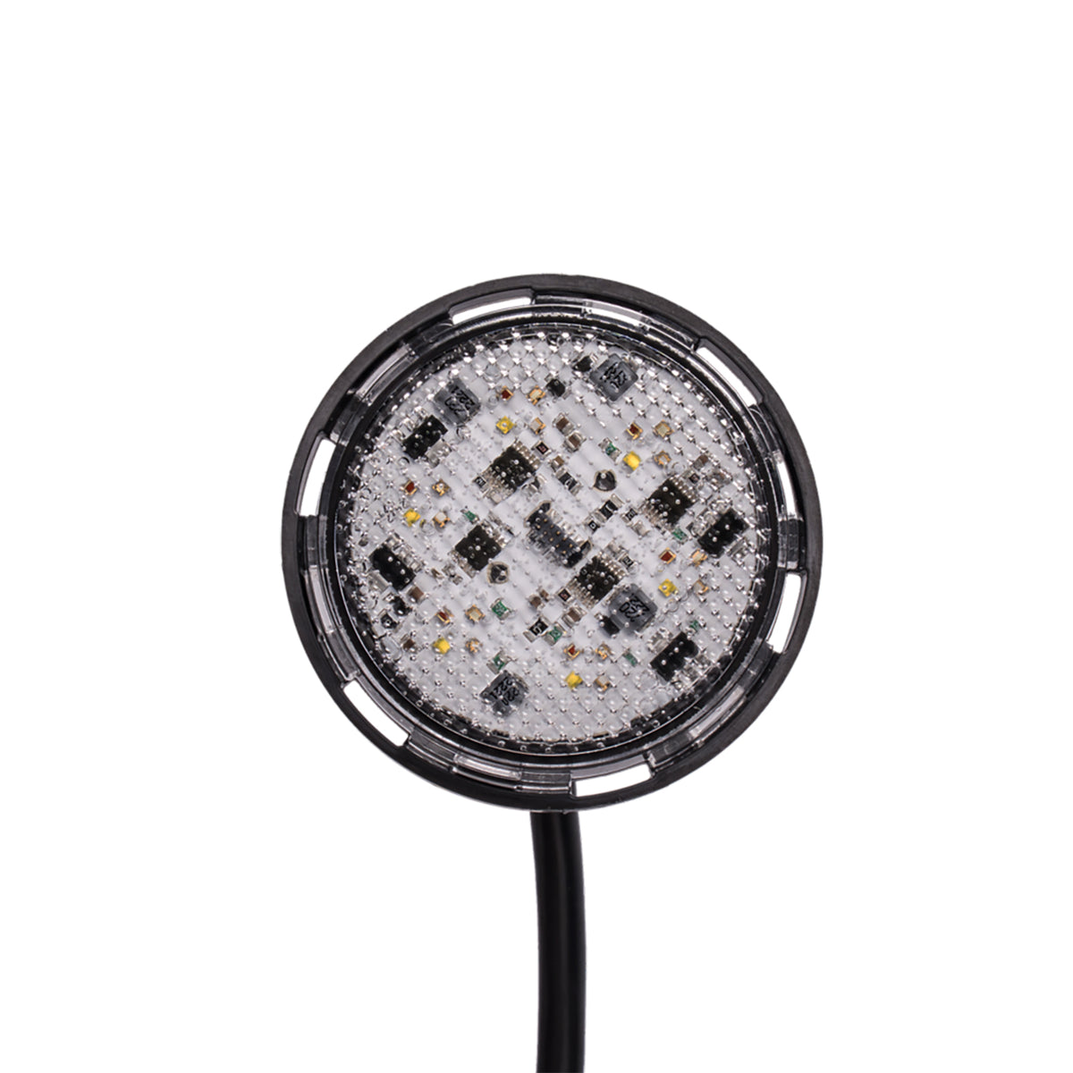 Pool Light, Pentair IntelliVibe Mezzo, 12V, 24W, 150ft : 602283 - Pentair - 788379918163 - PartsForSpas.com