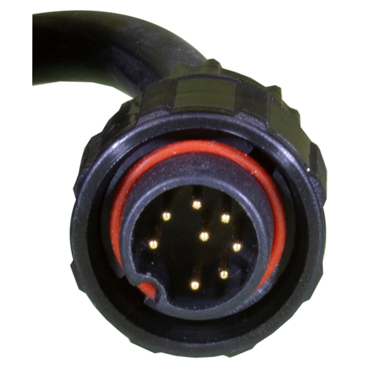 Pool Light, Carvin StarLight, Color LED, 12v, 100ft : 941320120101