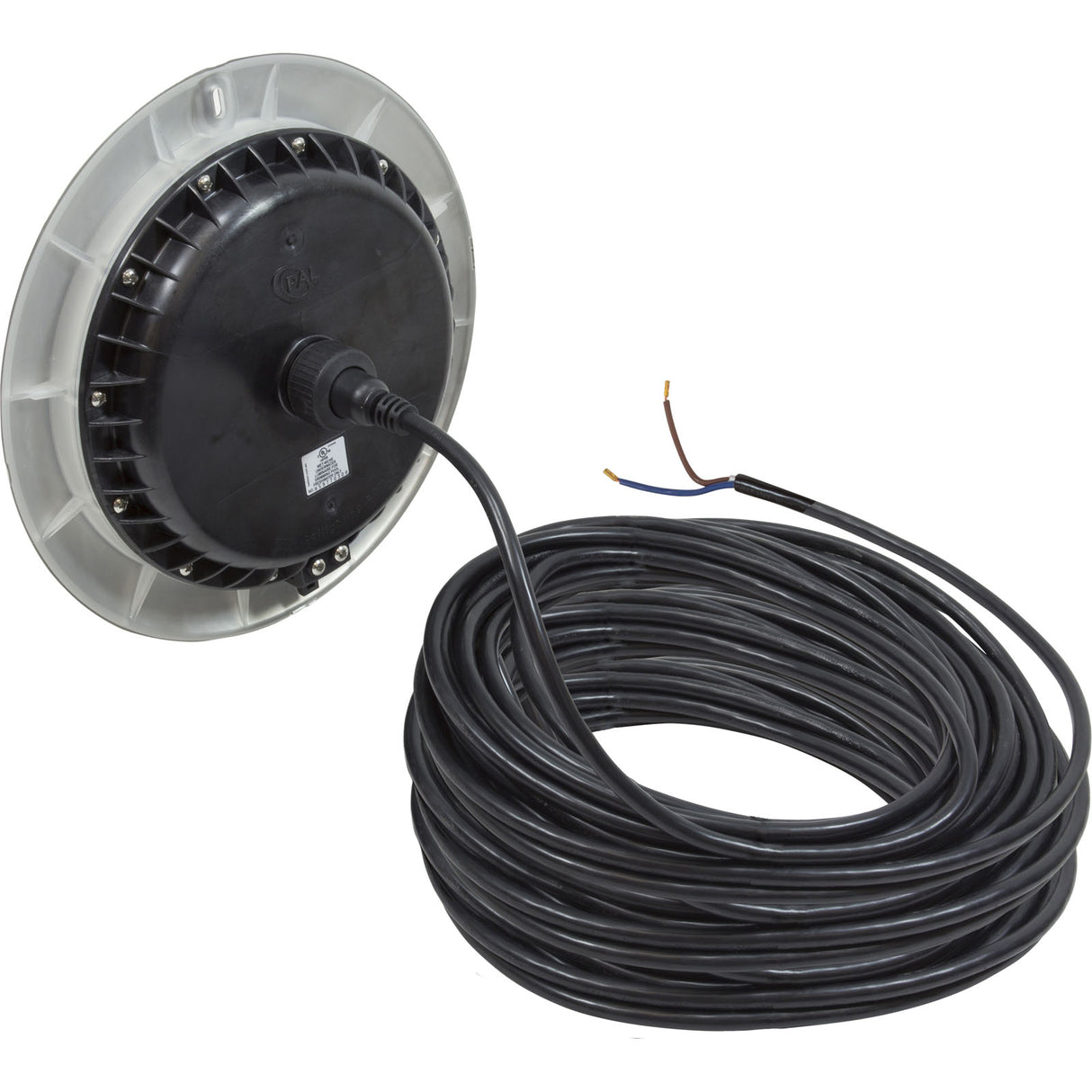PAL EvenGlow Lrg Niche Lt, Cool White, 12v ac/dc, 150ft, SS Esc : 64-EGLCW-150