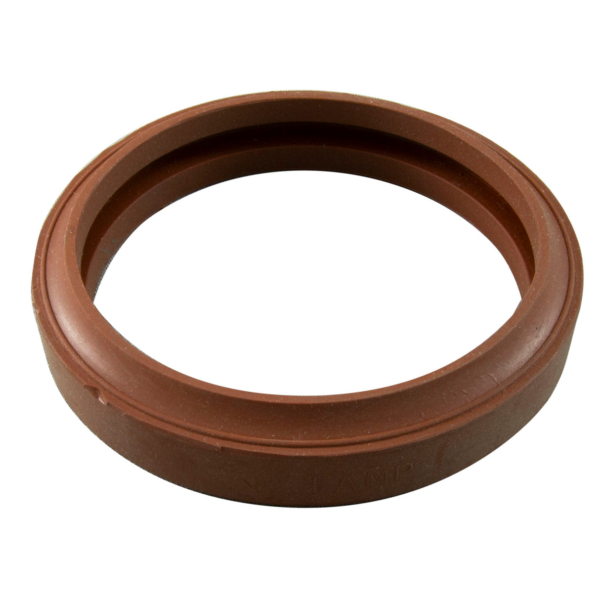 Lens Gasket, Pentair, Sunlite/Sunlite LTC, 2-3/4"id, 3-1/4"od : 05601-0014Z