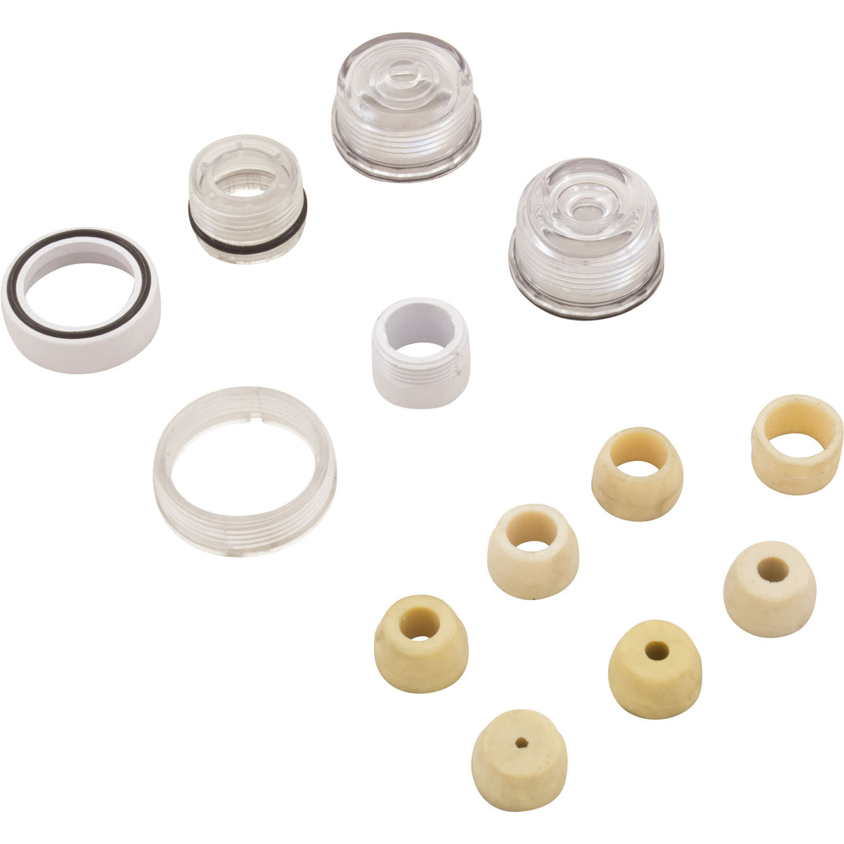 Lens Subassembly, Pentair Fiberworks OptiFusion, w/o Housing : 22102000