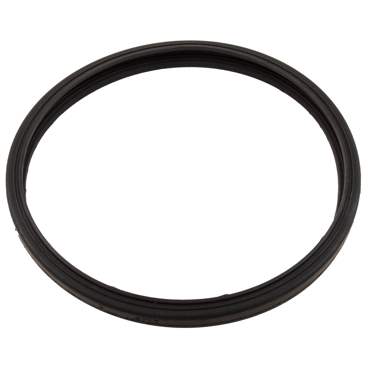 Gasket, Sta-Rite Sunbrite/Sunglow, Light Lens : 05501-0005Z