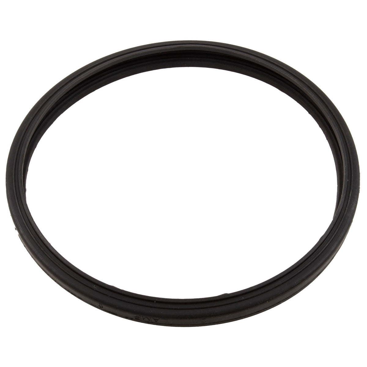 Gasket, Sta-Rite Sunbrite/Sunglow, Light Lens : 05501-0005Z