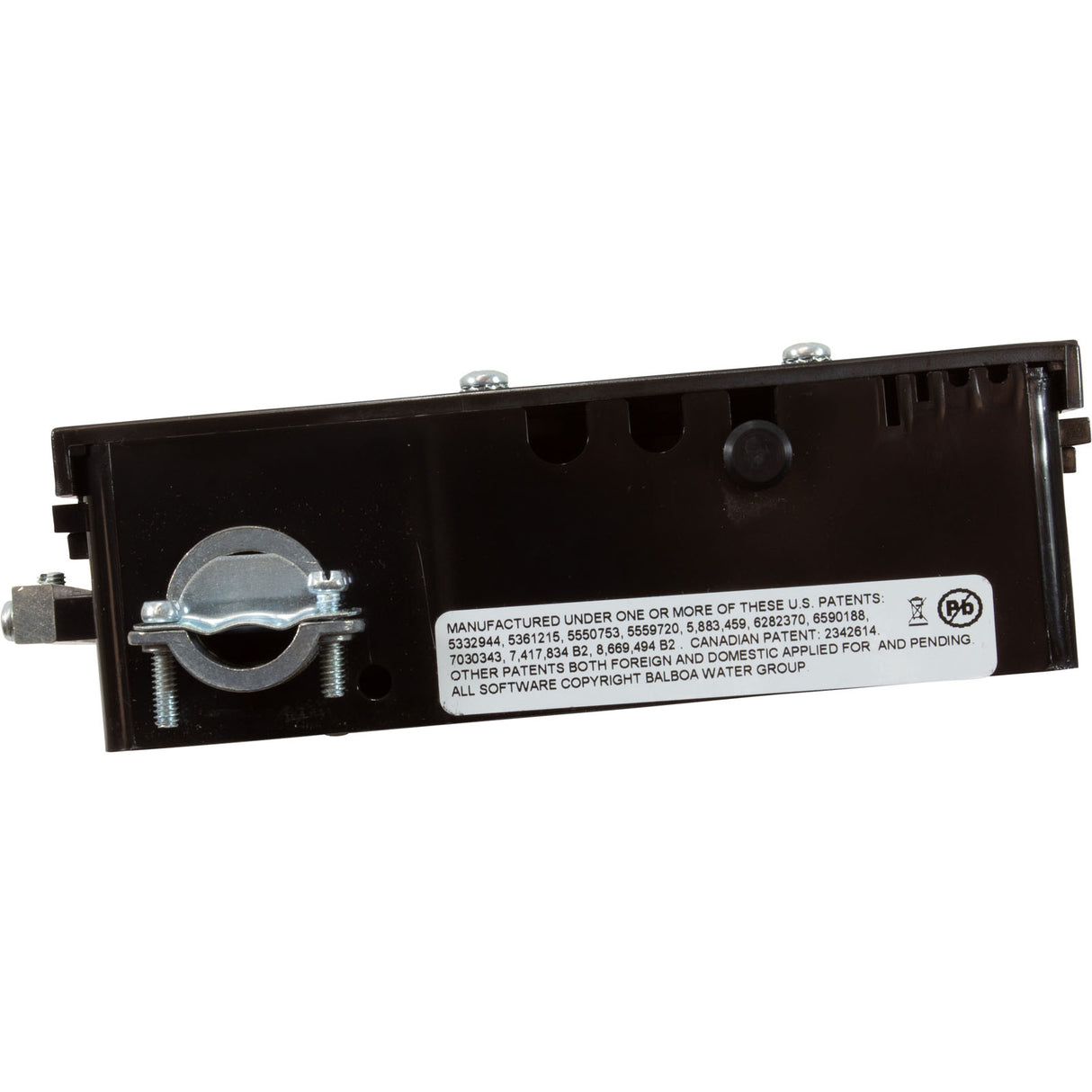 Control Only, Balboa Water Group VS100, P1, Oz, Lt, 115v : G4111