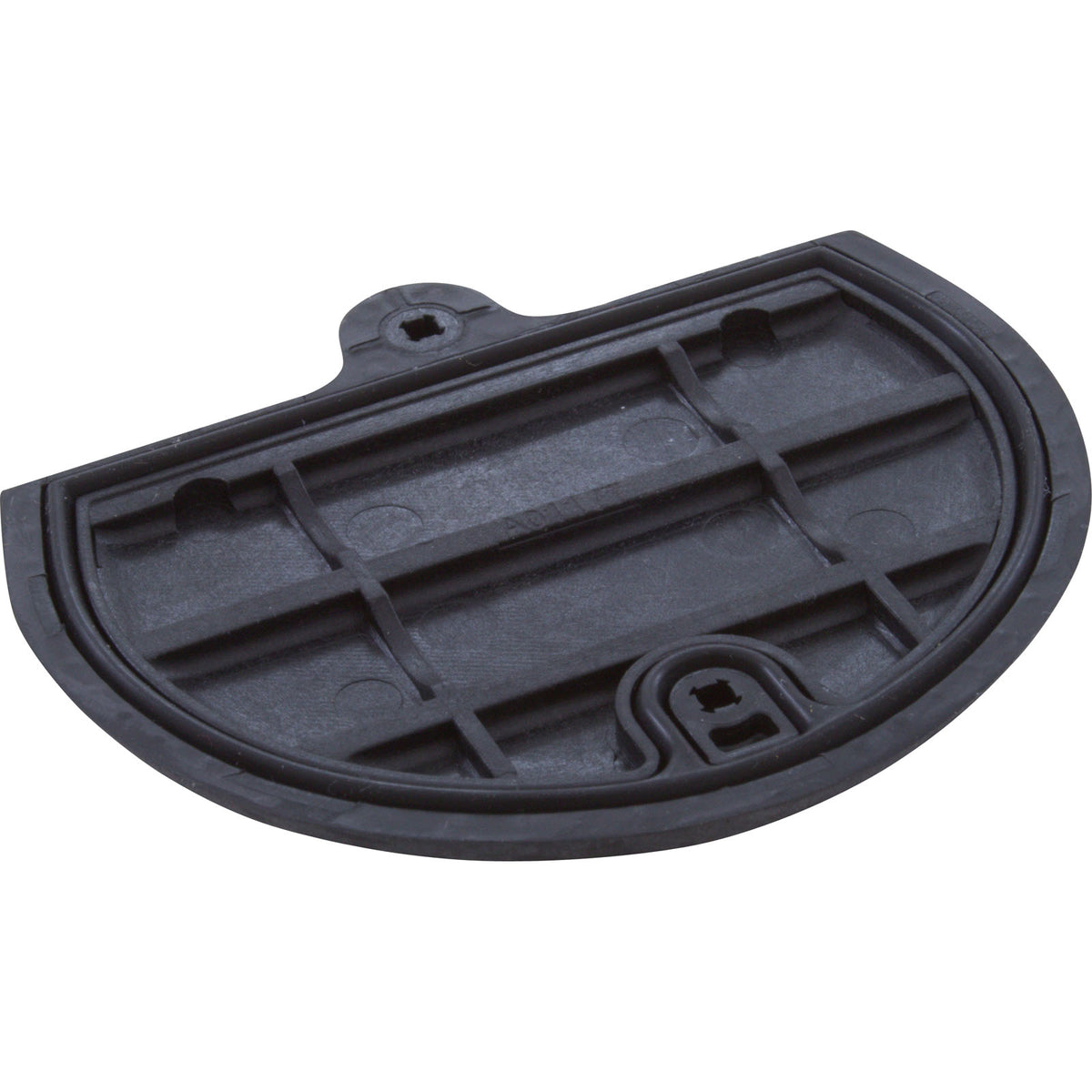 Battery Door, Zodiac Jandy AquaPalm, with Seal and Screws : R0443400