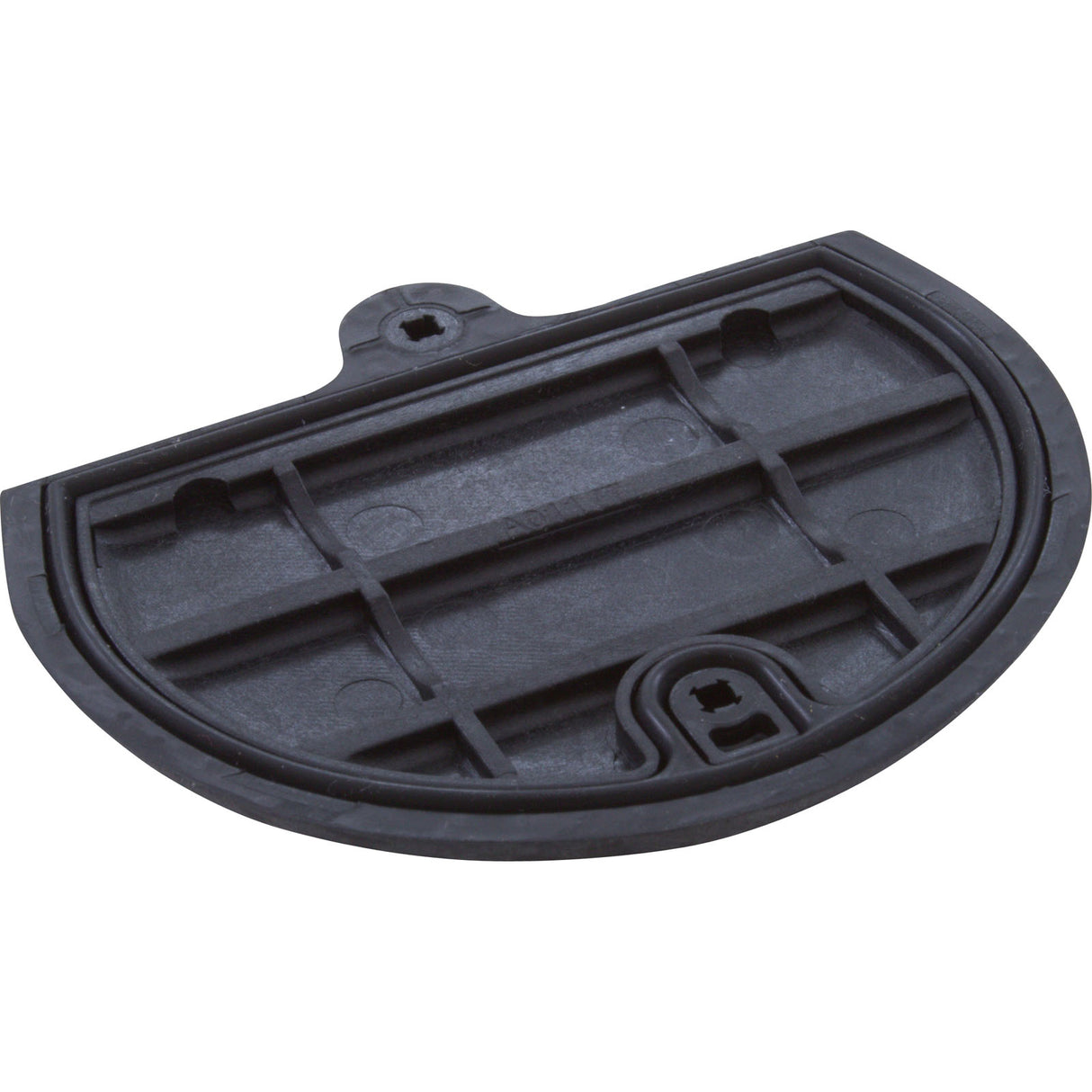 Battery Door, Zodiac Jandy AquaPalm, with Seal and Screws : R0443400