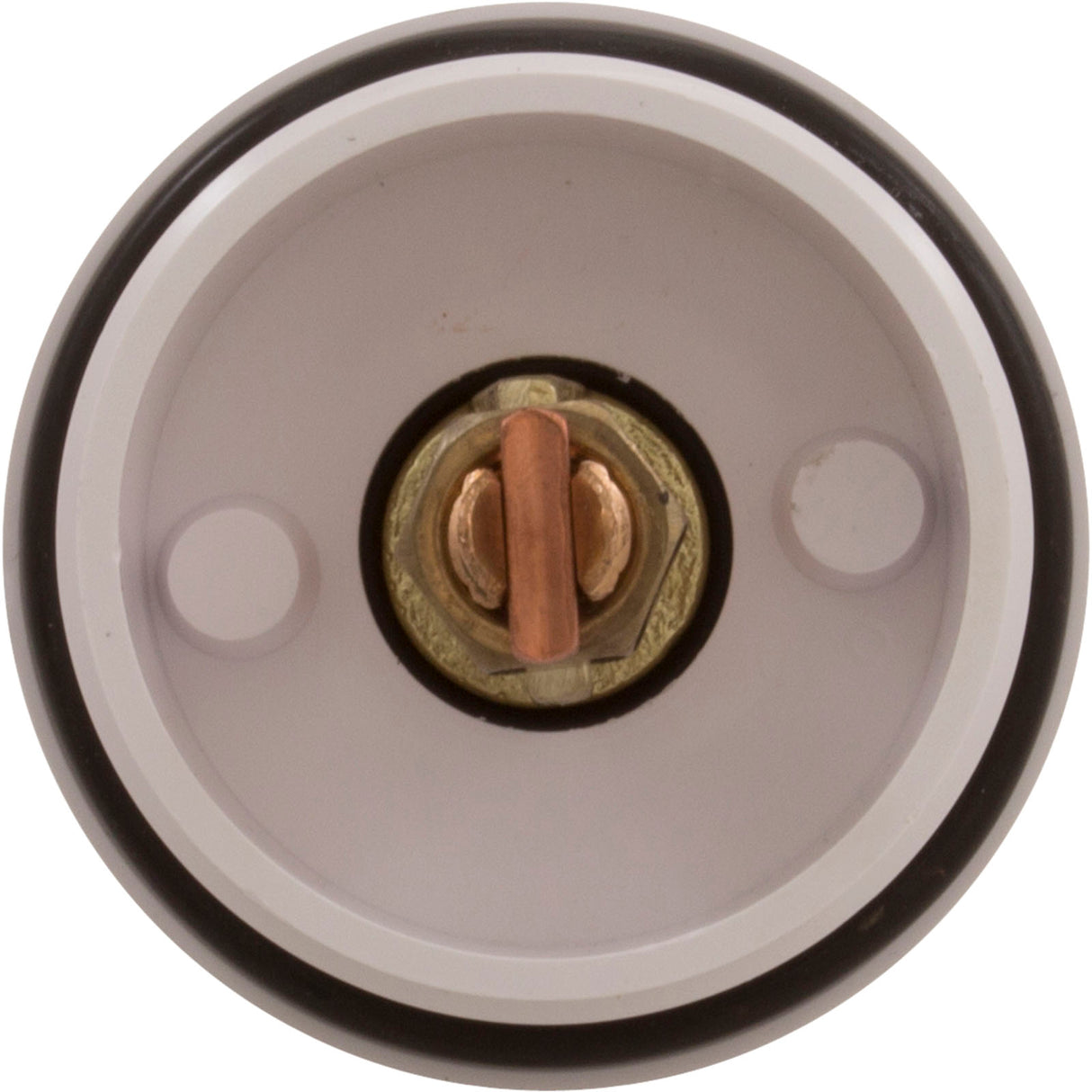 Water Bonding Fitting, Perma Cast, Skimmer Mount, 2"MPT : PB-SK-20