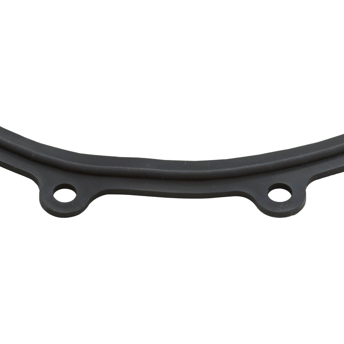 Faceplate Gasket, Big Red Pump : 711-2610