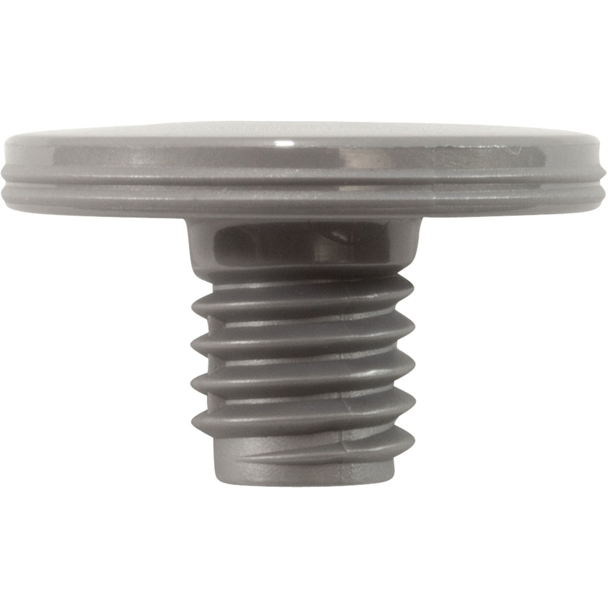 Retainer Screw, Zodiac Polaris Quattro™ P40/Sport, Slvr, 2 Pk : R0838800 - Polaris/Zodiac - 052337079303 - PartsForSpas.com
