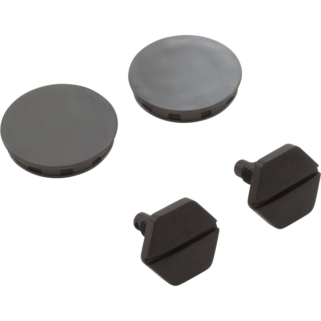 Hub Cap Kit, Pentair Racer, w/qty 2 Screws : 360254 - Pentair - 360254 - PartsForSpas.com