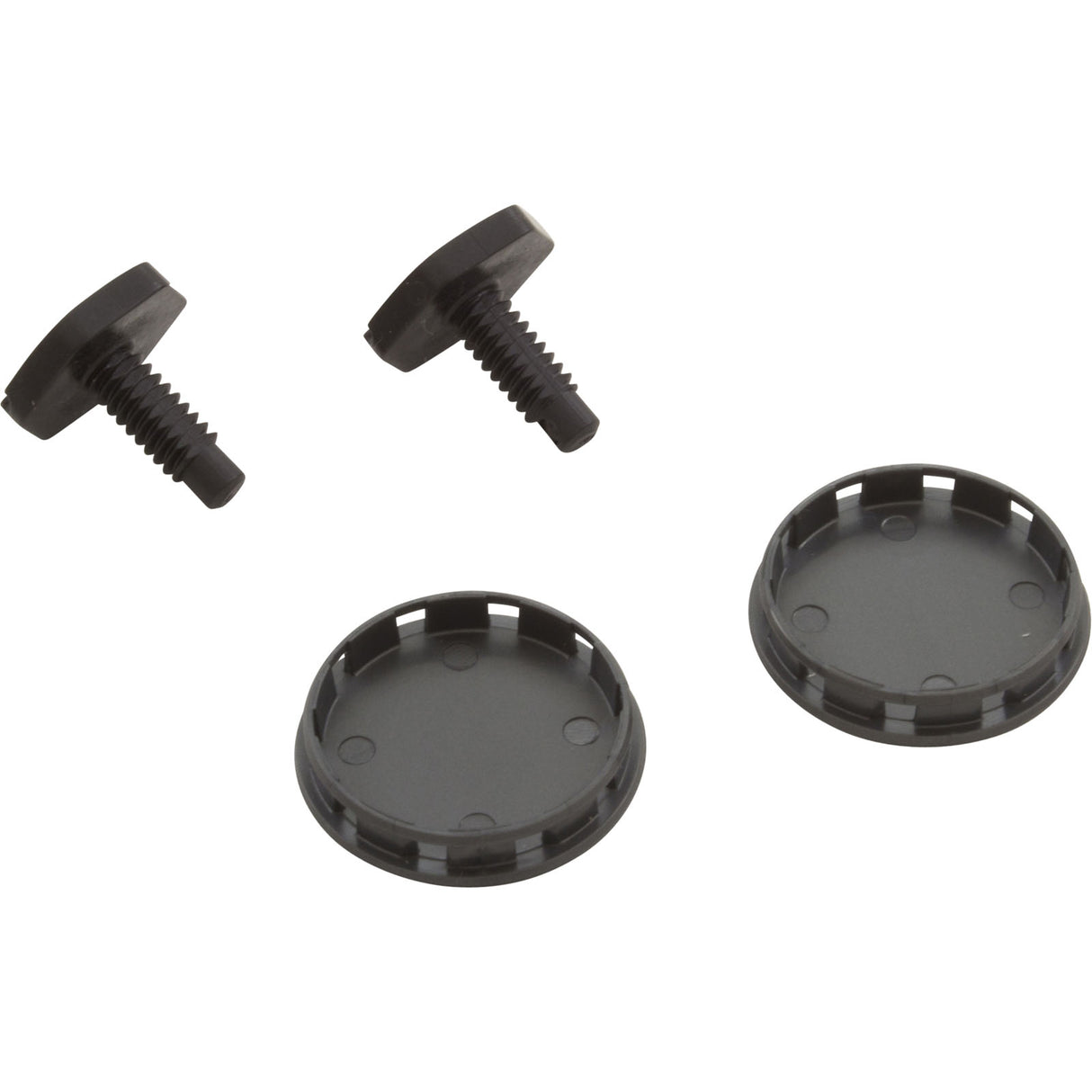 Hub Cap Kit, Pentair Racer, w/qty 2 Screws : 360254 - Pentair - 360254 - PartsForSpas.com