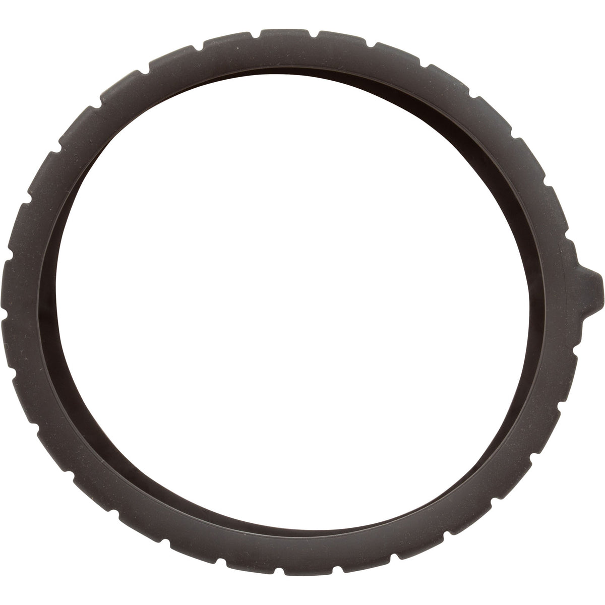 Tire Kit, Pentair Lil Rebel : 360455