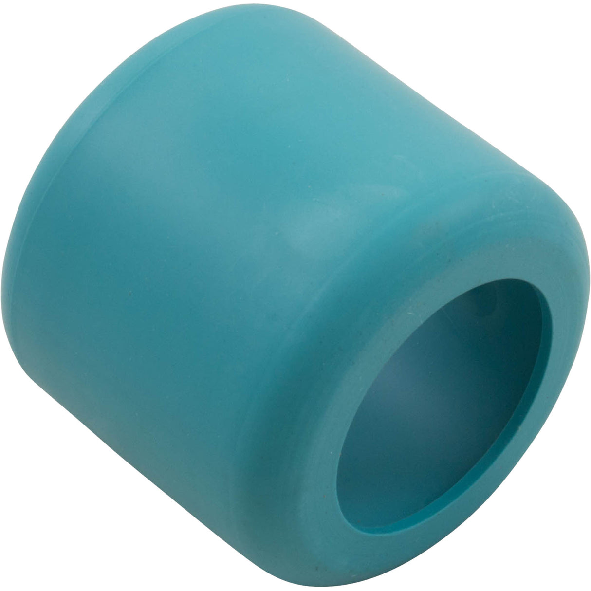 Hose Weight, Pentair E-Z Vac Cleaner : K12657