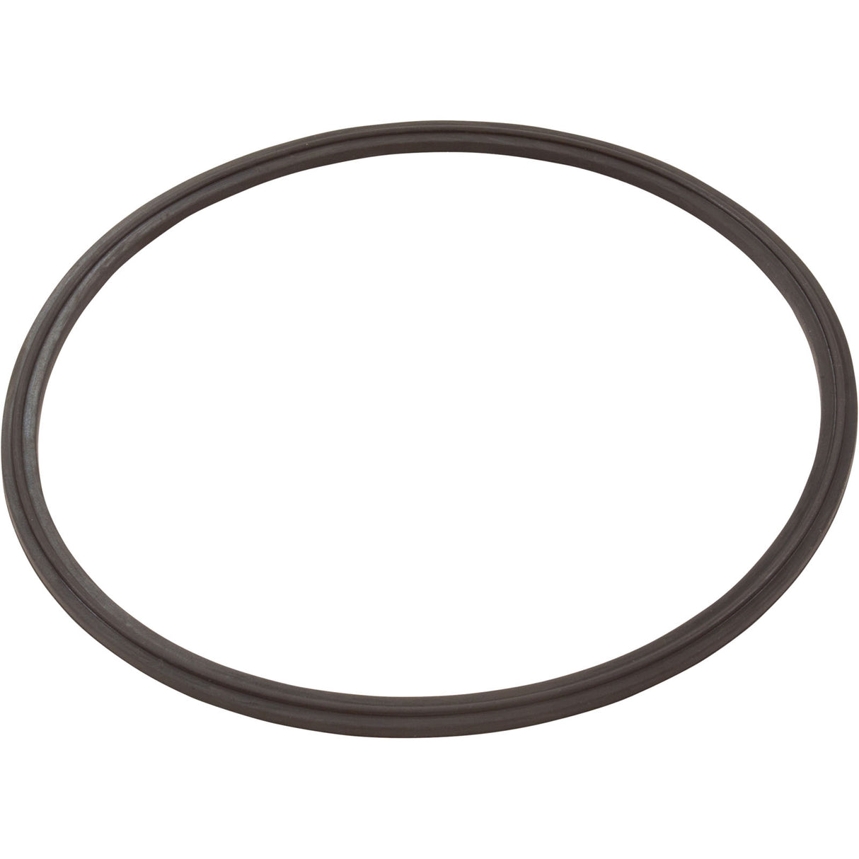 Leaf Catcher Seal, Zodiac Cyclonic Leaf Catcher : R0623300
