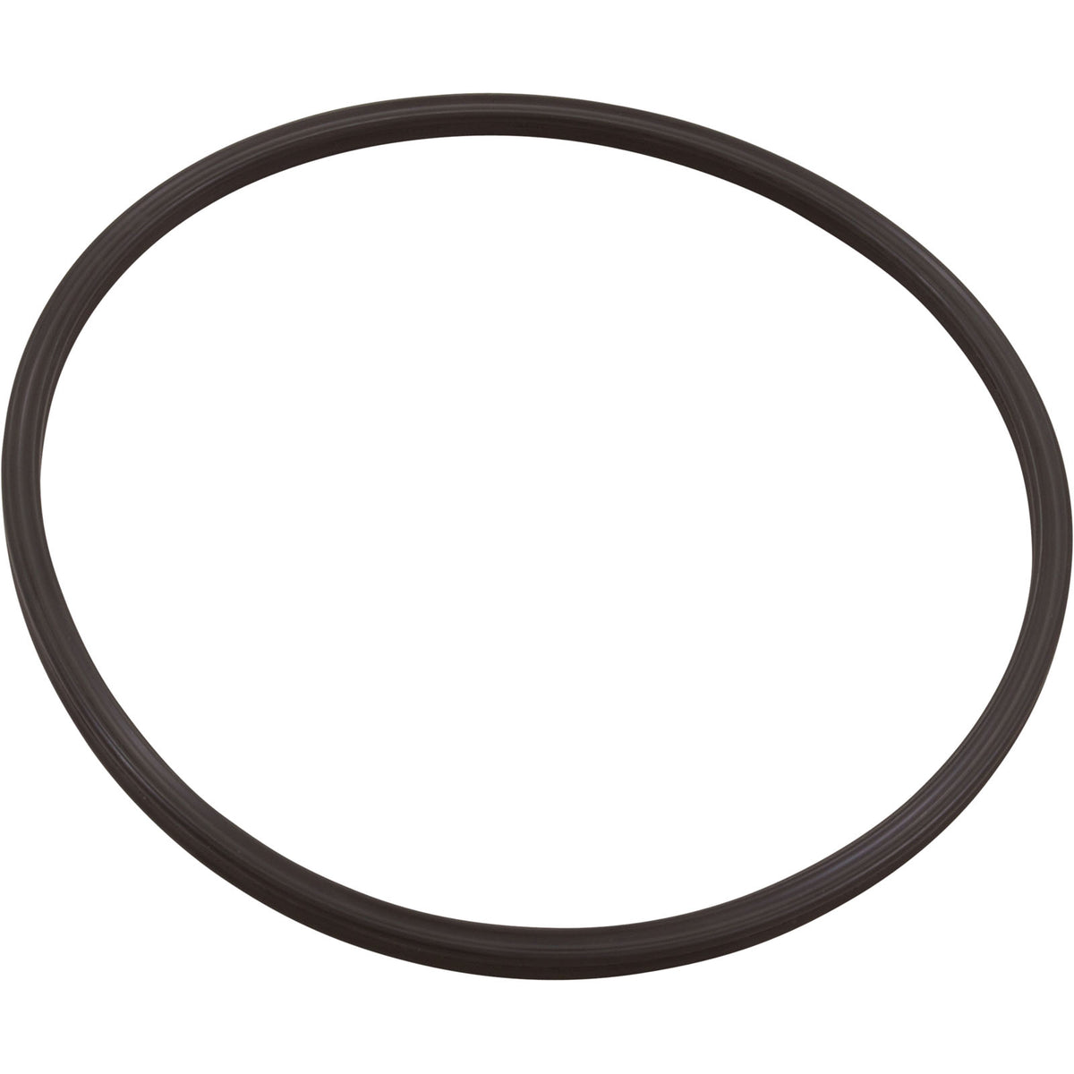 O-Ring, Paramount Leaf Canister, Lid : 005-152-0120-00