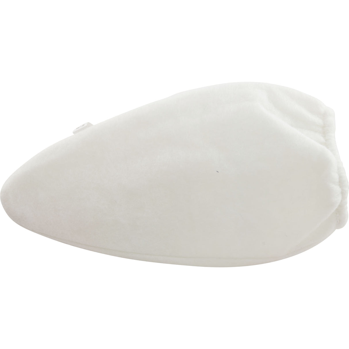 Filter Bag, Water Tech iVac350Li/JPV300 : P22X022XF - Water Tech Corp - P22X022XF - PartsForSpas.com