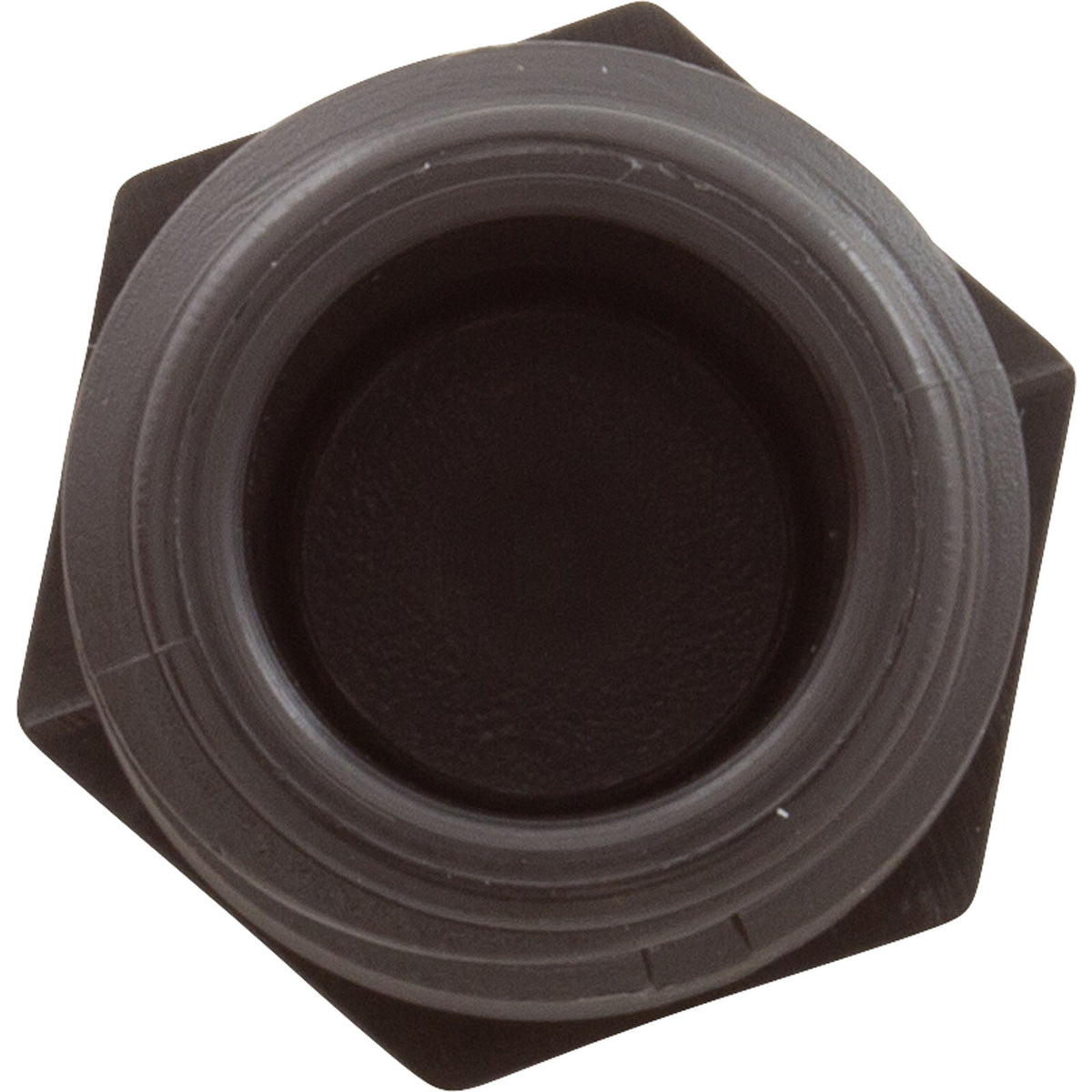 Plug, Aquastar ChemStar CH100, 1/2"mpt, PVC : CH1015